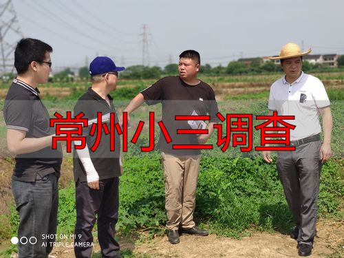 常州小三调查